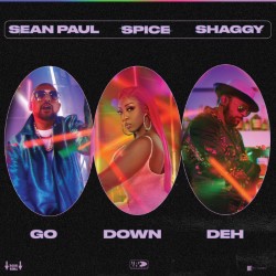 Go Down Deh (feat. Shaggy & Sean Paul) 