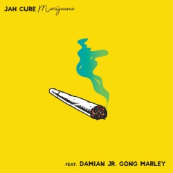 Marijuana (feat. Damian 'Jr. Gong Marley) 